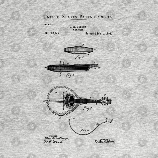 US Patent - Mandolin by Taylor'd Designs